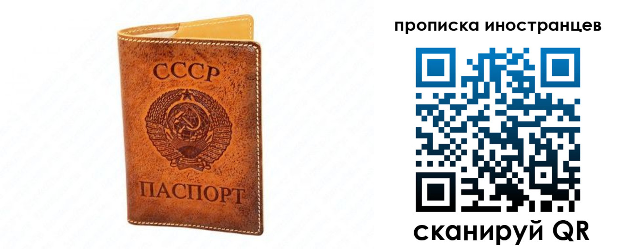 прописка для школы в Каменск-Шахтинском